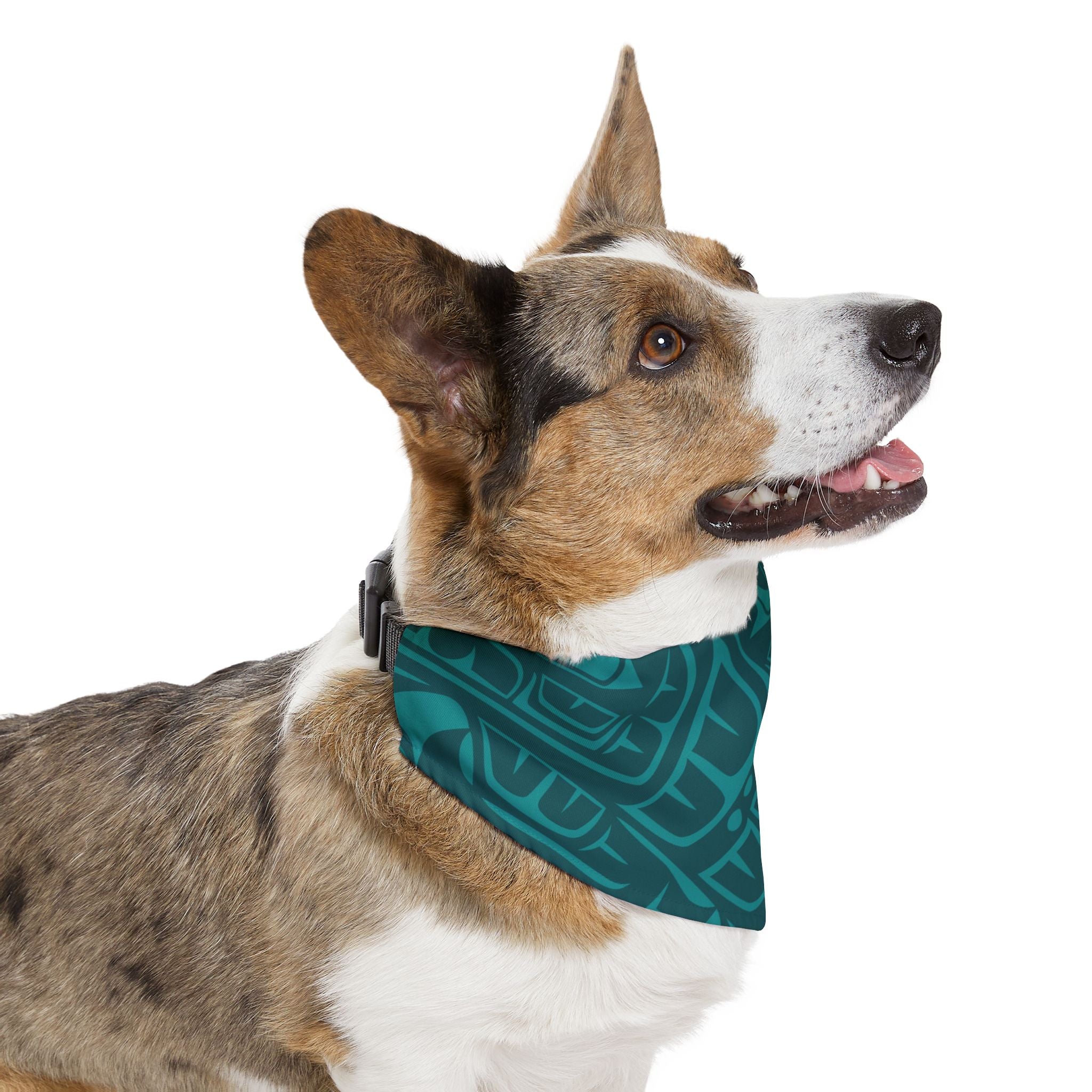 Pet Bandana Collar - Classic Tribal Print (Teal) Northern Spiritlines™
