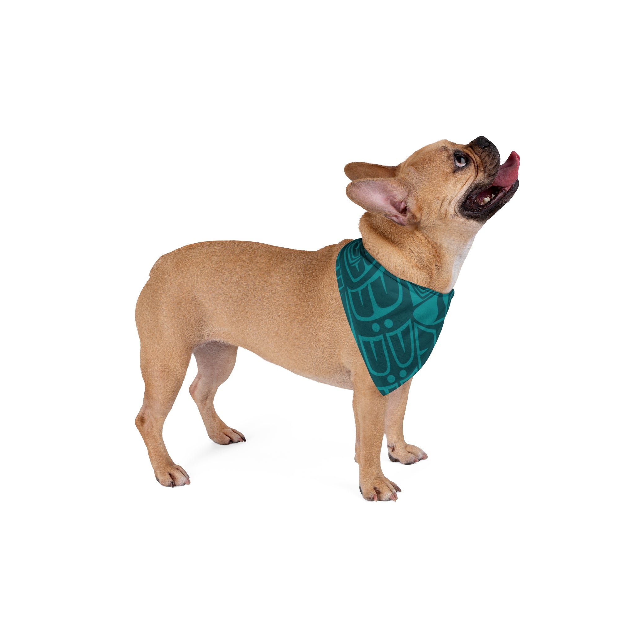 Pet Bandana - Classic Tribal Print (Teal) - Northern Spiritlines™
